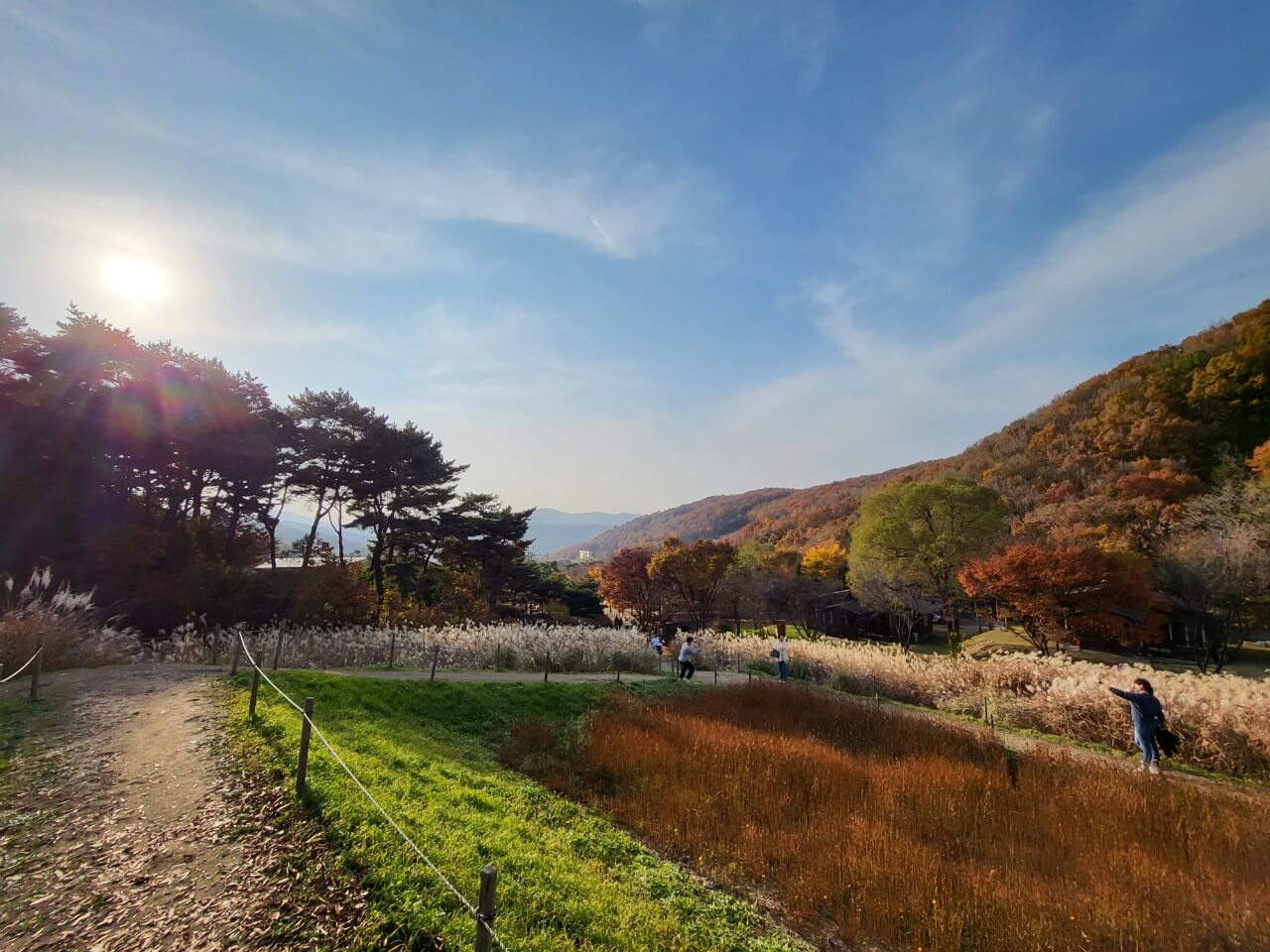 용인자연휴양림 풍경
