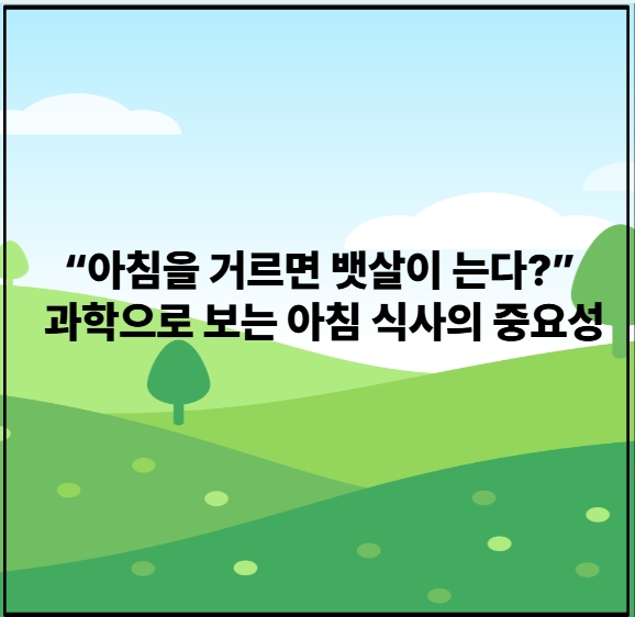 “아침을 거르면 뱃살이 는다?” 과학으로 보는 아침 식사의 중요성