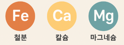 철분, 칼슘, 마그네슘 원소기호 사진