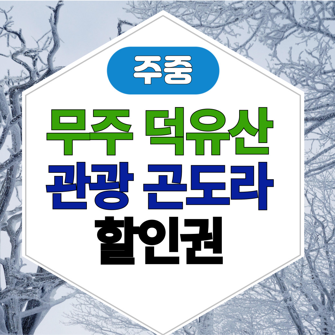 덕유산 케이블카 예약