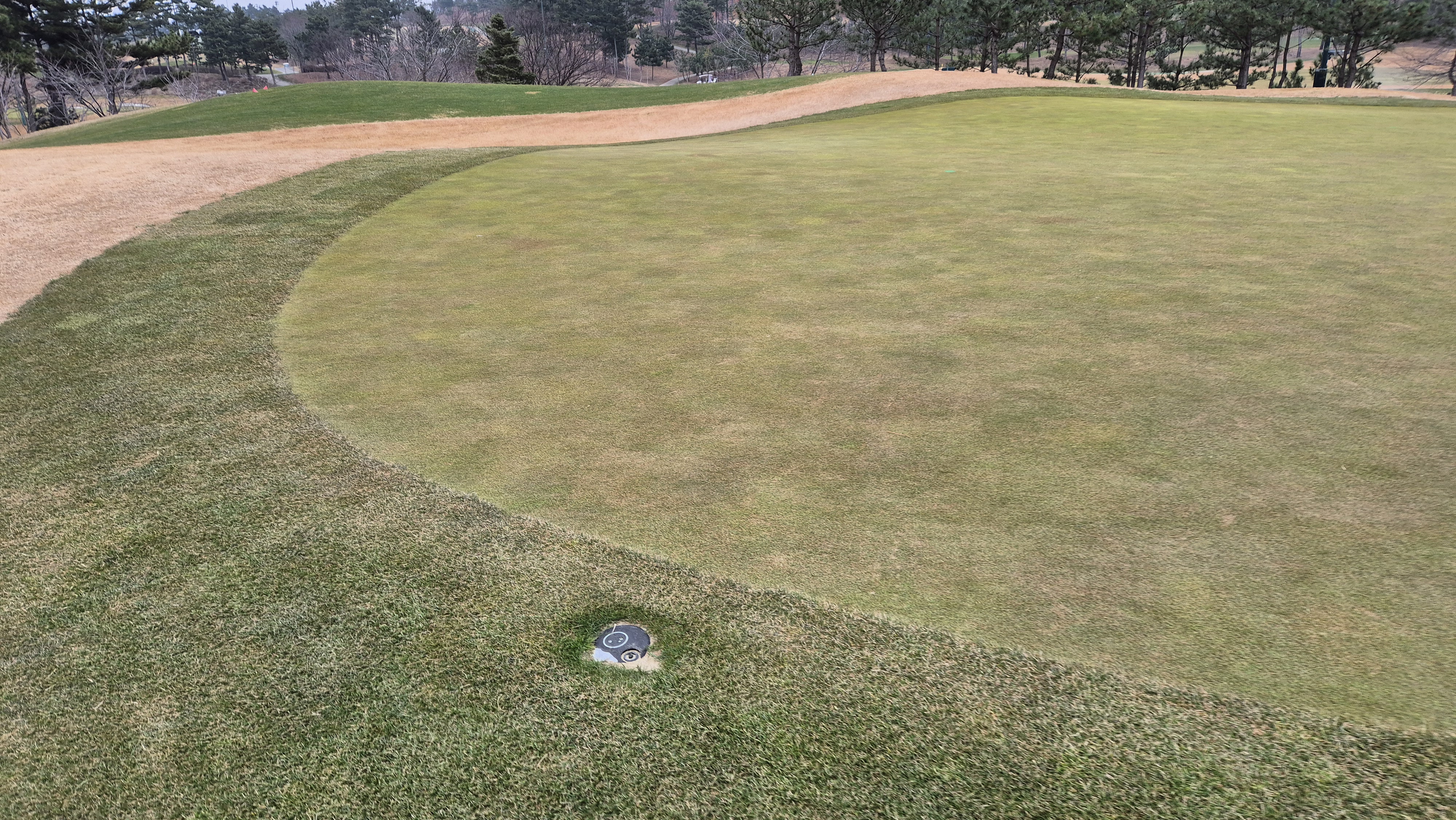 더헤븐cc 사우스-웨스트 코스 그린관리상태