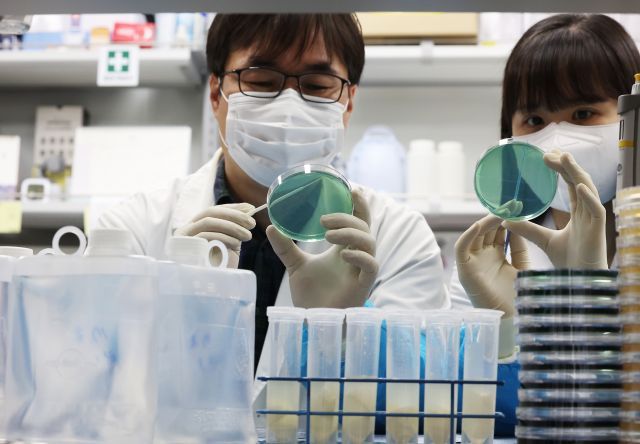 비브리오패혈증 사망자 올해 첫 발생: 치사율 50% 예방법과 고위험군 주의사항 총정리