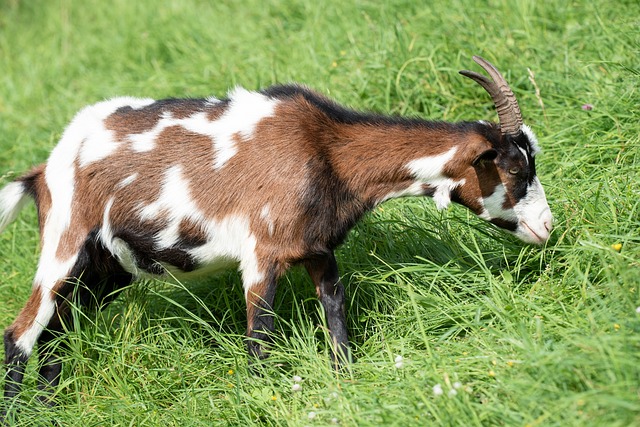 [콜키지 뜻] 콜키지프리 뜻&amp;#44; 와인콜키지 뜻&amp;#44; 페어링 뜻&amp;#44; 와인 페어링이란? 블루투스 페어링이란?