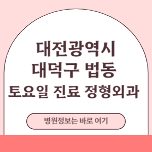 대덕구 법동 토요일 진료 정형외과 병원