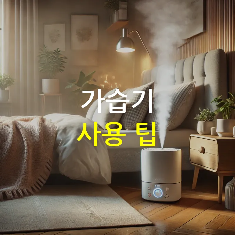 가습기가 필요한 이유와 올바른 선택 및 사용법