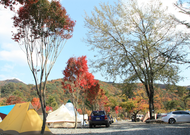 포천 계곡메사 오토캠핑장펜션