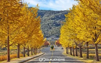 가을 경주 여행 가볼만한곳 베스트 10으로 정리_5