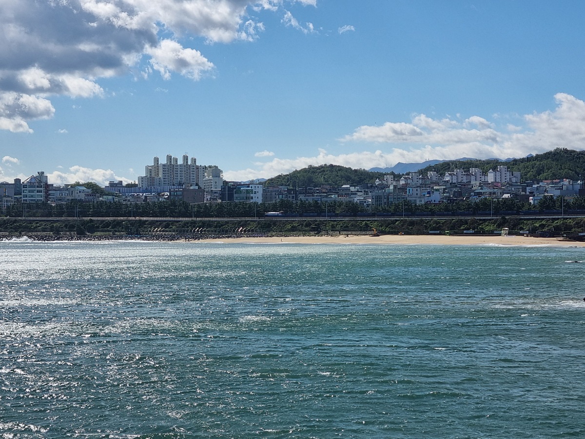 동해 가볼만한곳 천곡항 후기 ❘ 수상 레저와 감성돔 낚시, 작은 항구 매점
