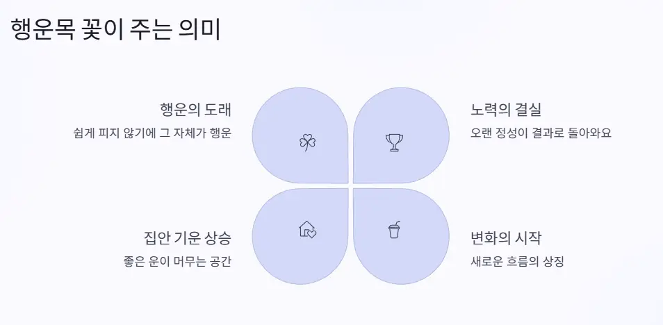 꽃 의미