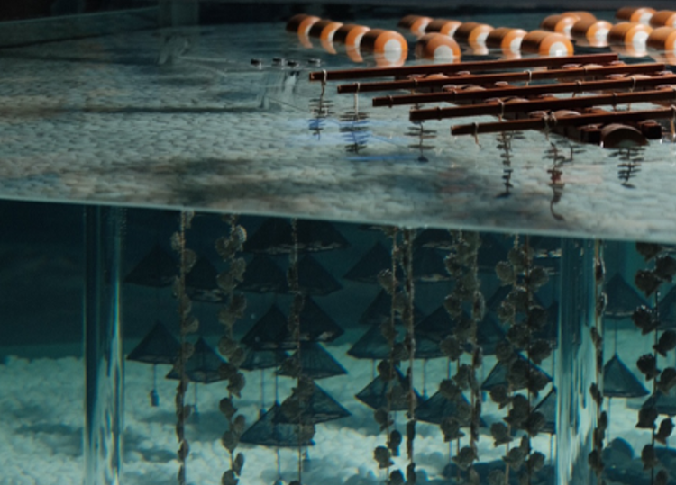 통영 수산과학관