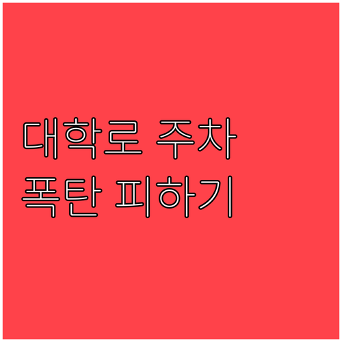 대학로 주차 요금 폭탄 피하는 법과 ..