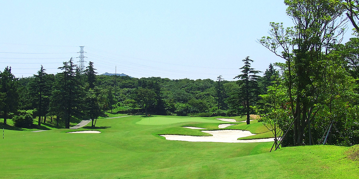 테디 코스 사진