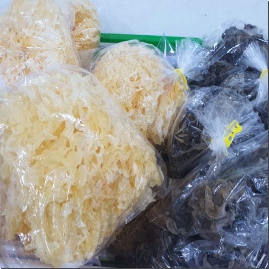 흰목이버섯 효능 및 먹는 법과 주의점