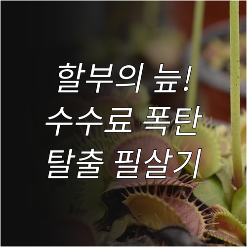 중고차 장기 할부의 함정 및 중도 상..