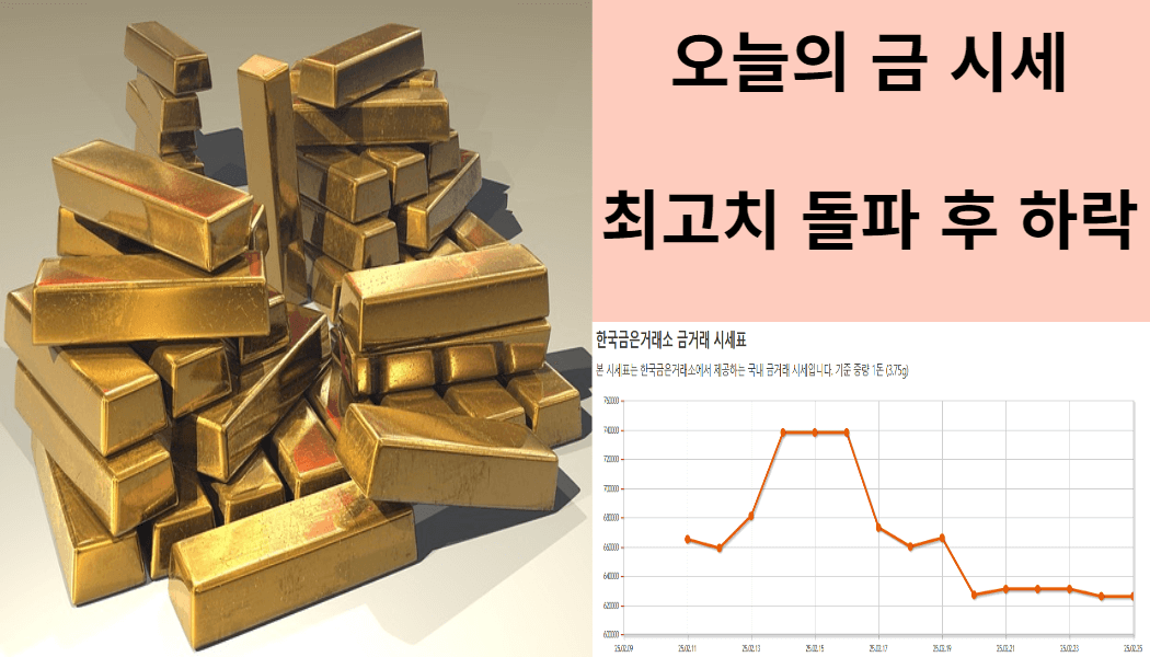 오늘의 금 시세