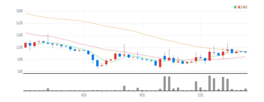엔젠바이오 주봉
