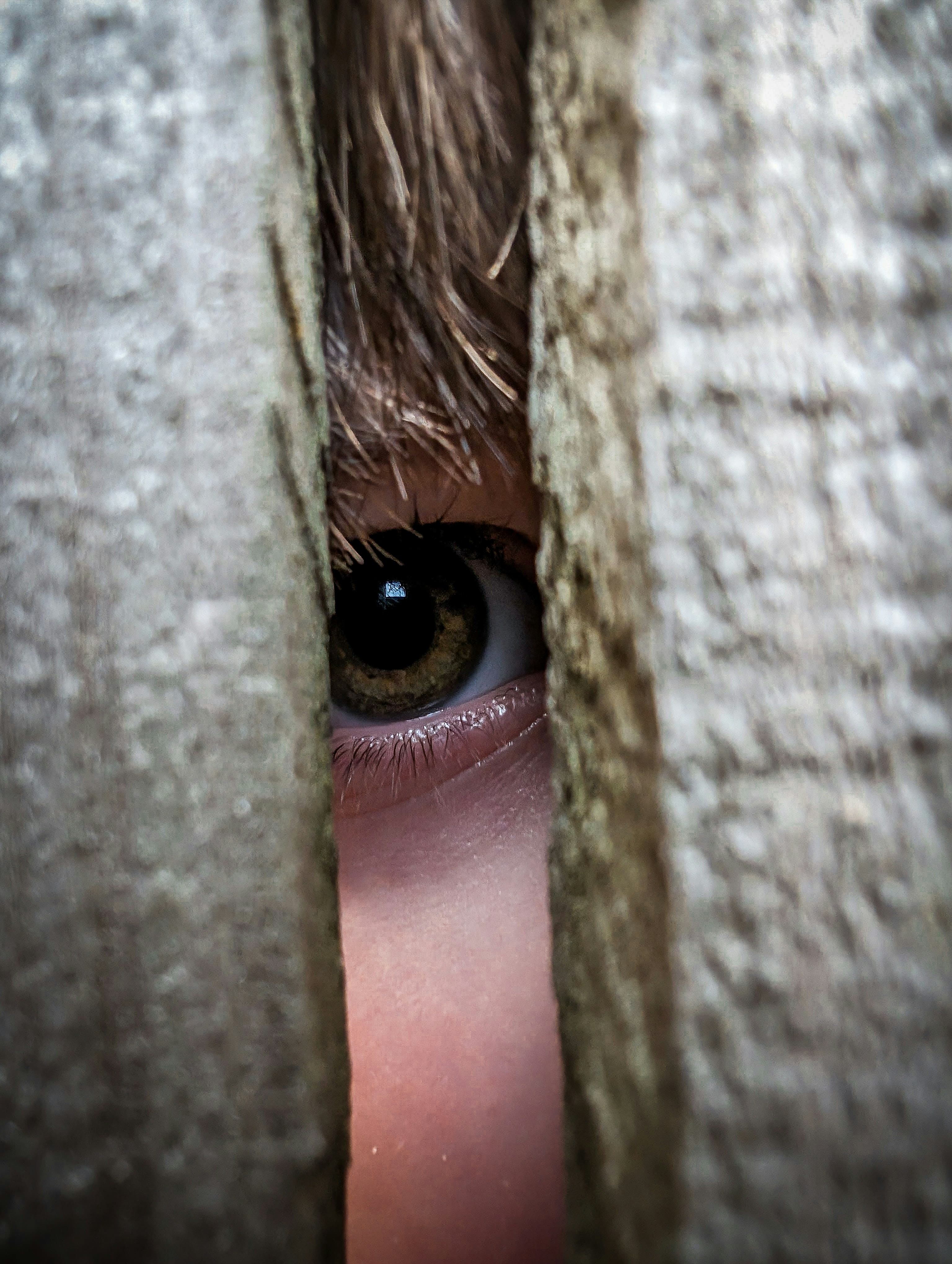 대상영속성이란? 언제부터 발달할까?