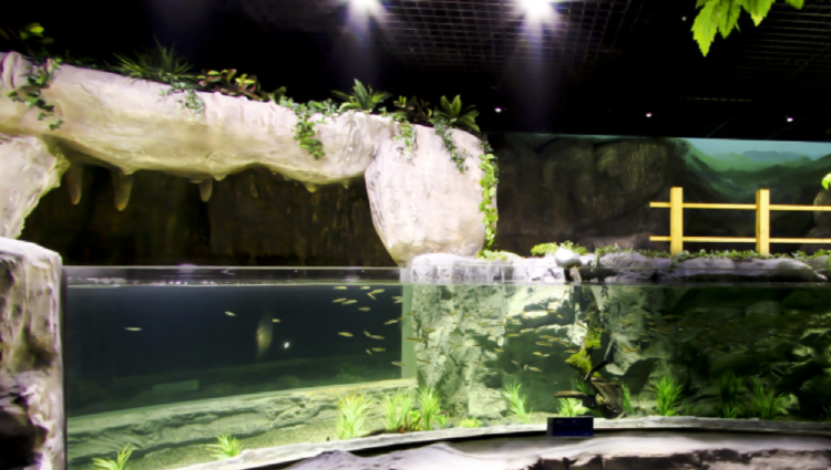 단양 아쿠아리움