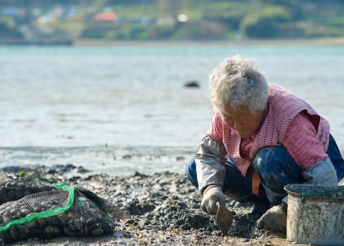 어업인 재해보험