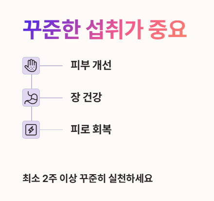 꾸준한 섭취가 중요