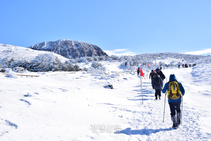 제주도 한라산