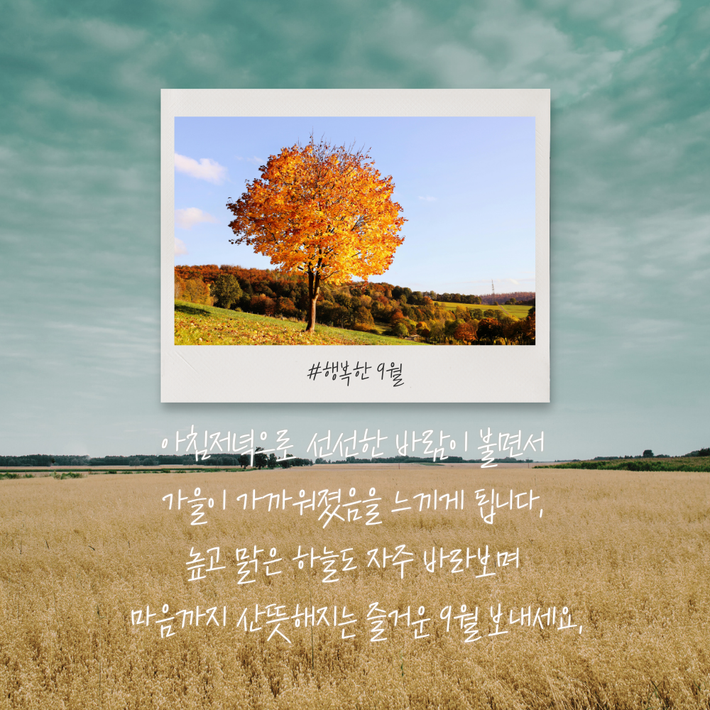 선선한 가을바람과 맑은 하늘을 전하는 2026년 9월 아침 인사말 이미지