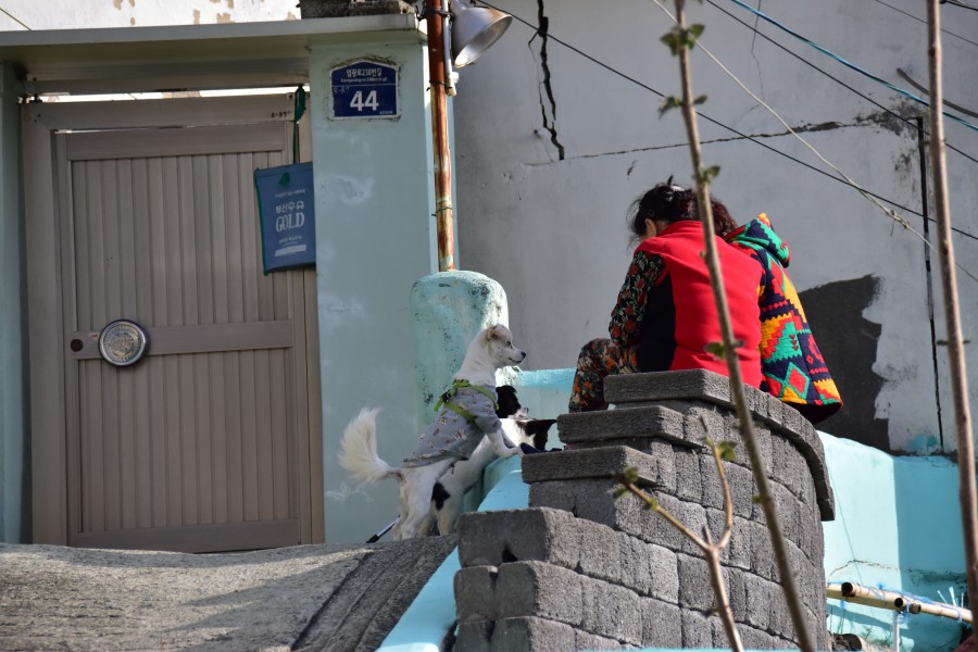 가야동 산동네