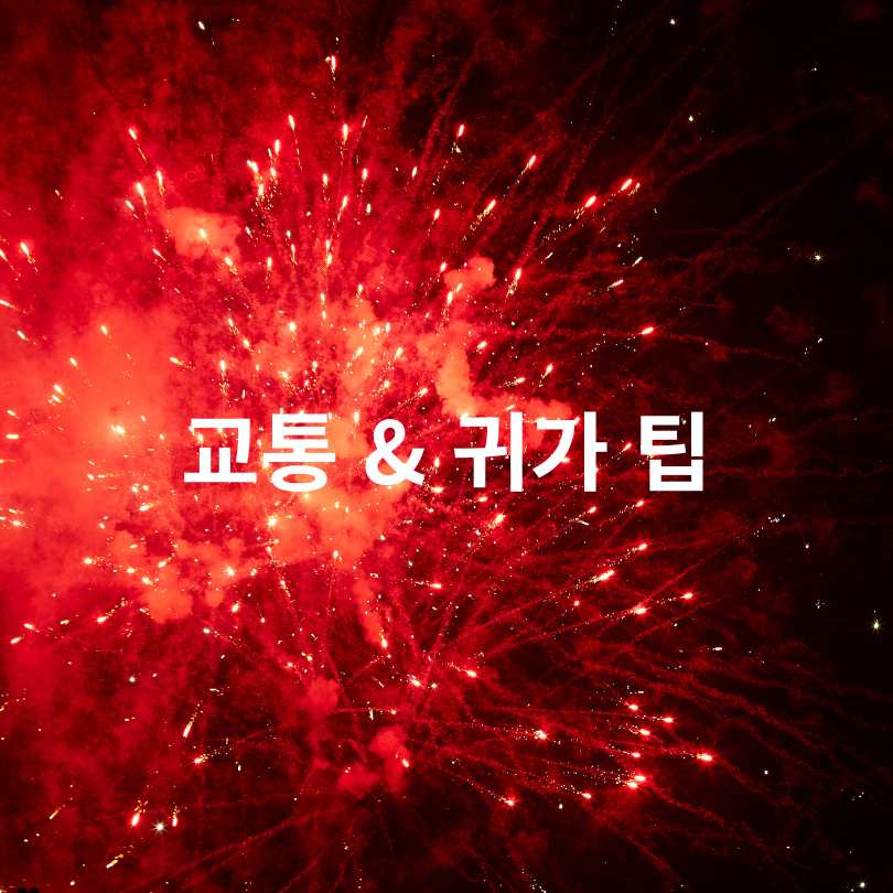 2025 여의도 불꽃축제 명당 &amp; 준비물 총정리