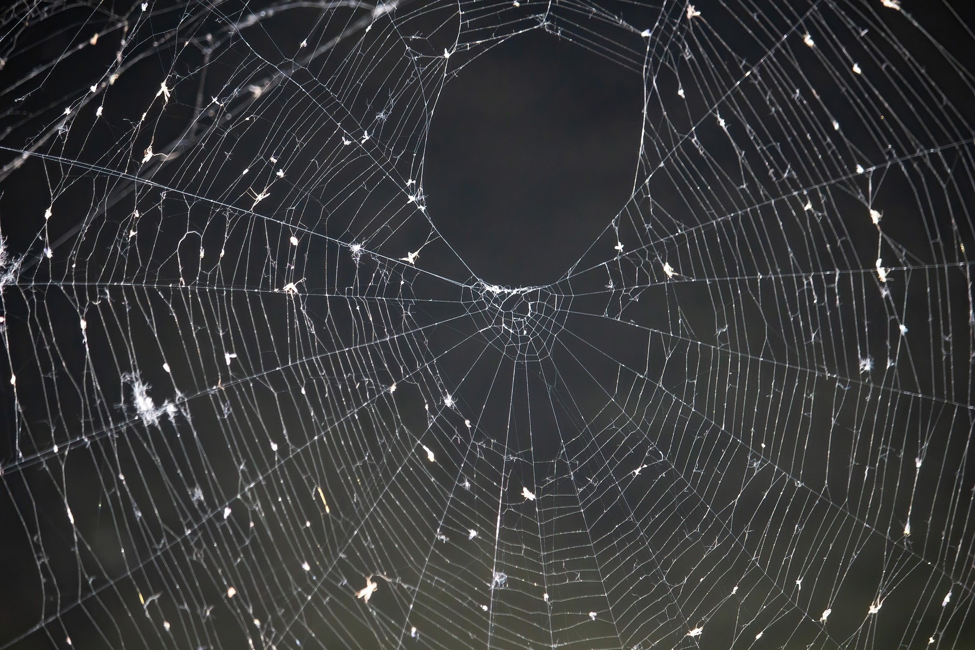 글로벌 주식 Atlassian의 엔터프라이즈 고객 비중 확대가 평균 계약 단가(ARPU)와 해지율