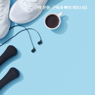 골다공증 운동 가이드|체중부하·근력 운동 필수 (2025 최신)