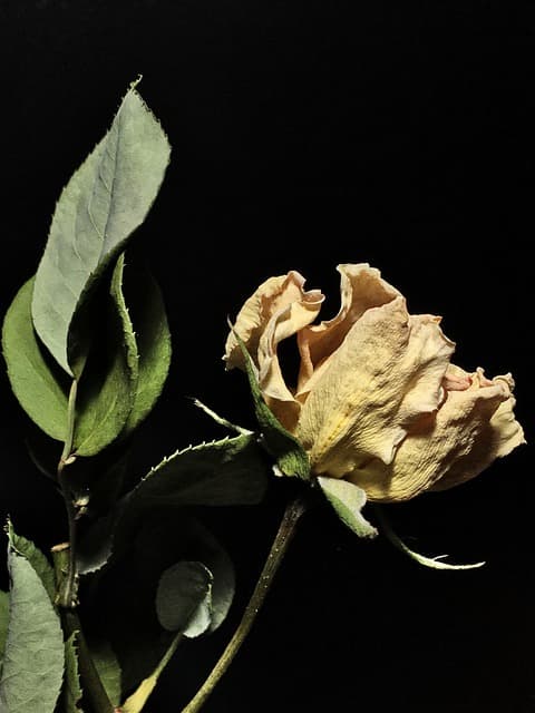 겨울철 다리각질관리 제대로 하는 법