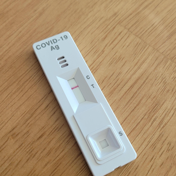 코로나-검사결과-음성