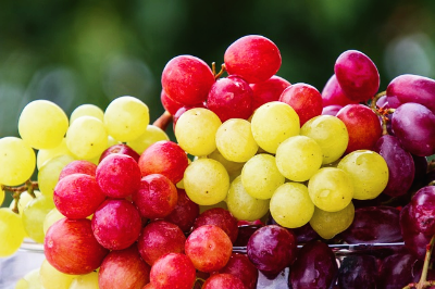 포도