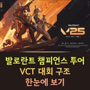 초보자를 위한 대회구조 정보