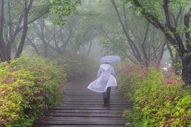 장마 예상 기간 2025년 정리