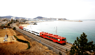 가을 바다 열차 여행 추천