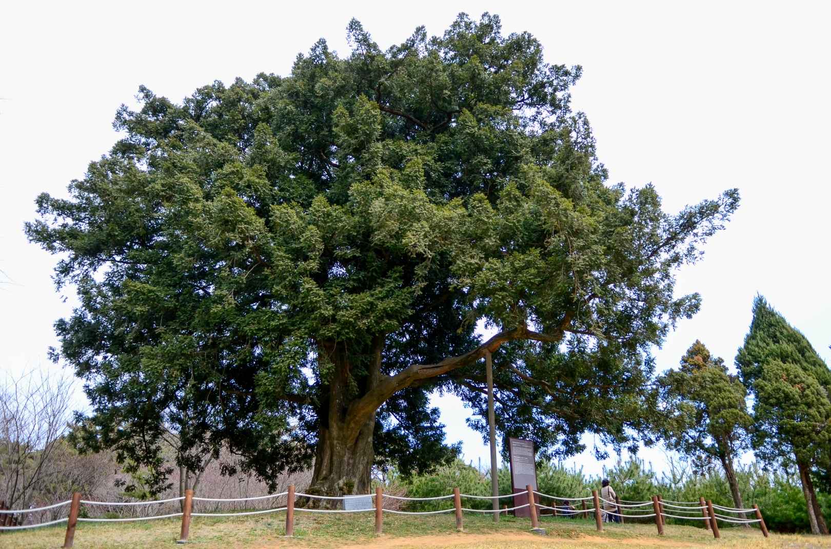 서산 유기방 가옥