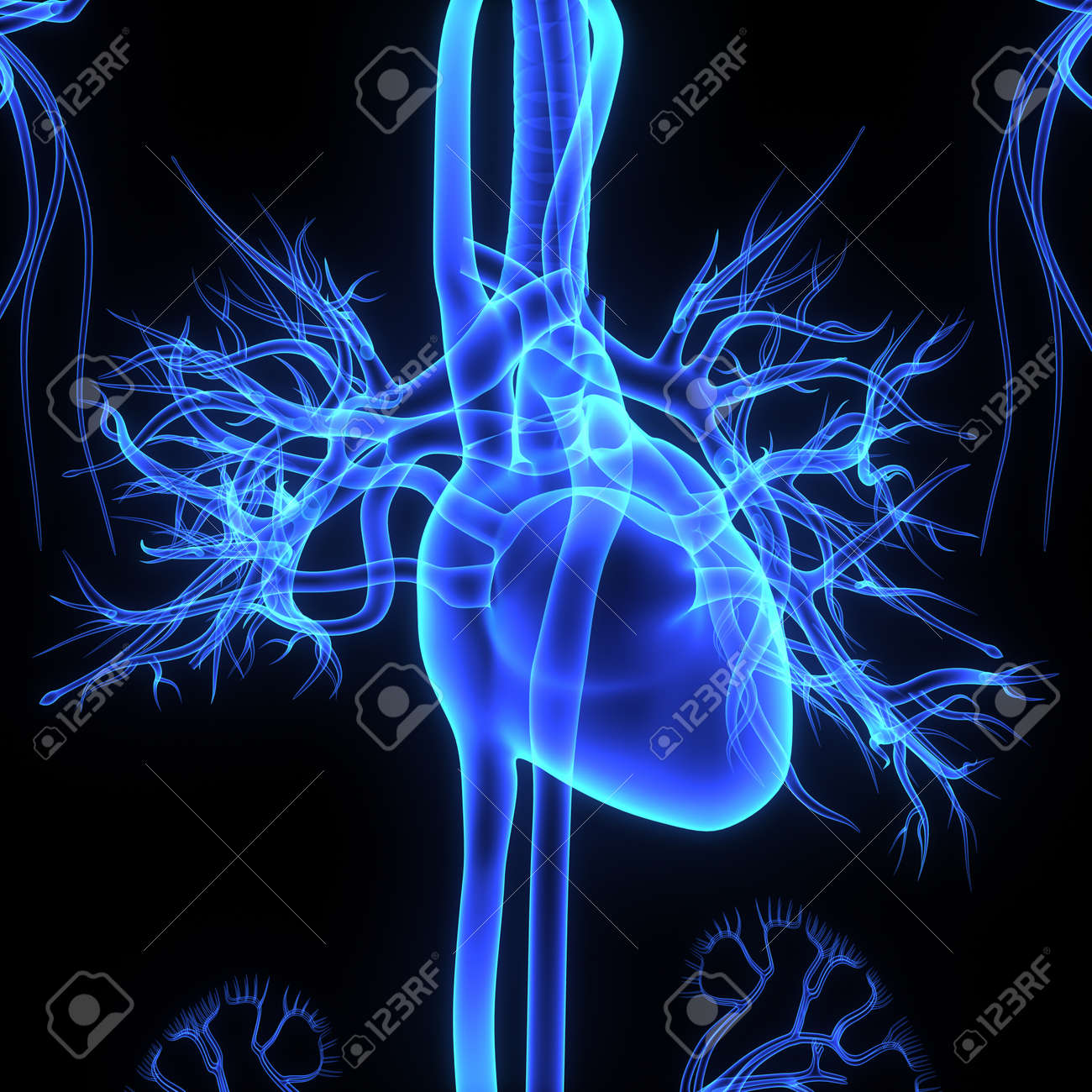스마트 워치 심박 오차, 손목 움직임 때문에 생기는 신호 문제 이해하기