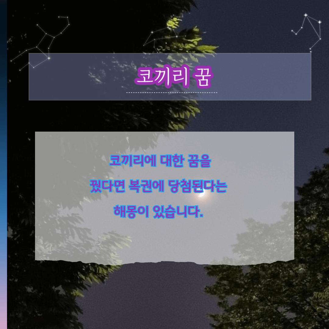 로또당첨되는 꿈-코끼리꿈