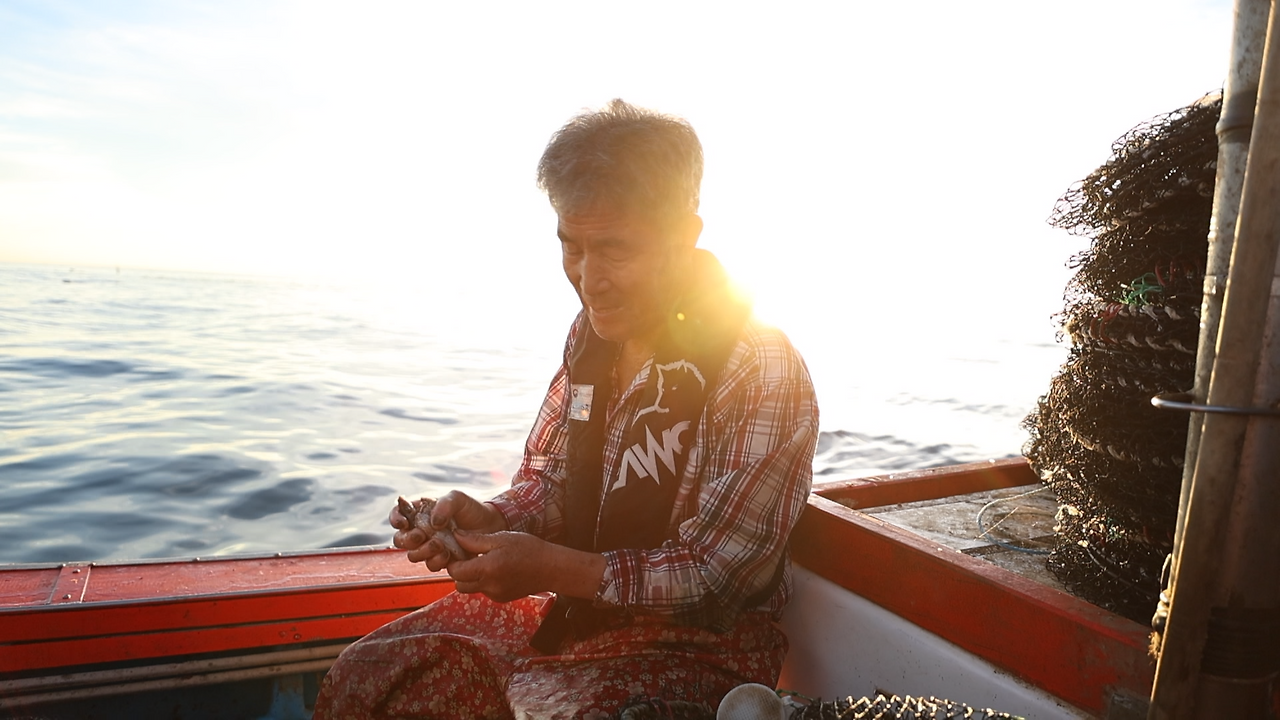 부성애로 잡아올린 삼척문어