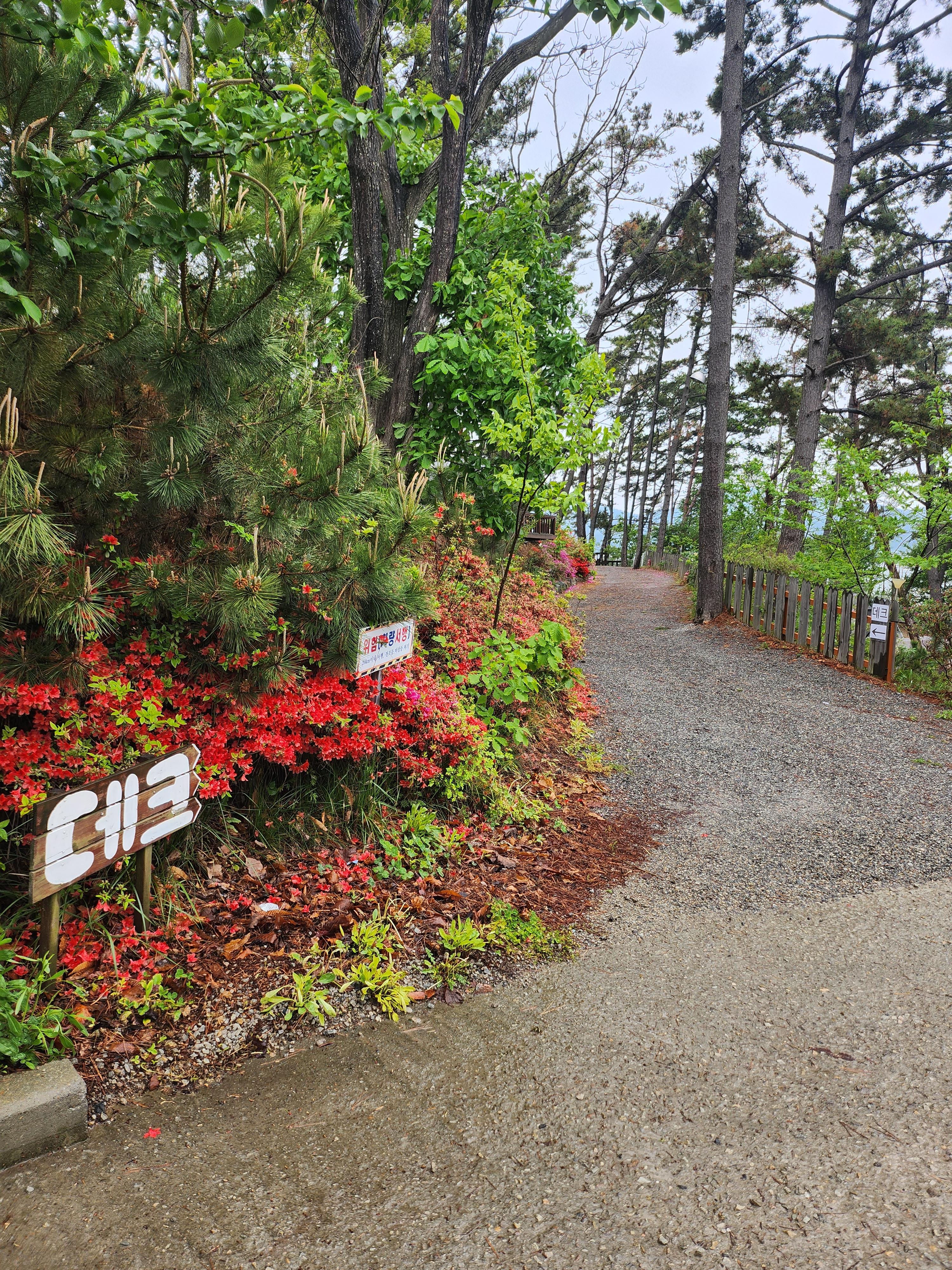 태안별빛캠핑장 데크