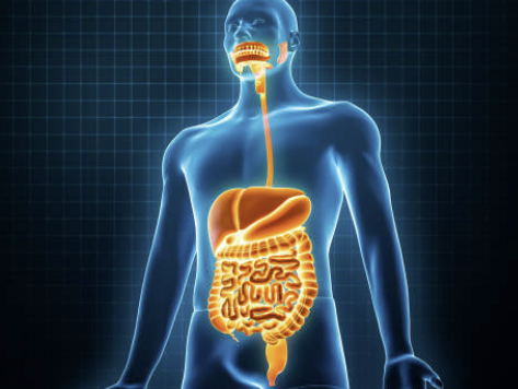 장염 빨리낫는법 장염 증상 좋은 음식 알아보기(24년 Ver)