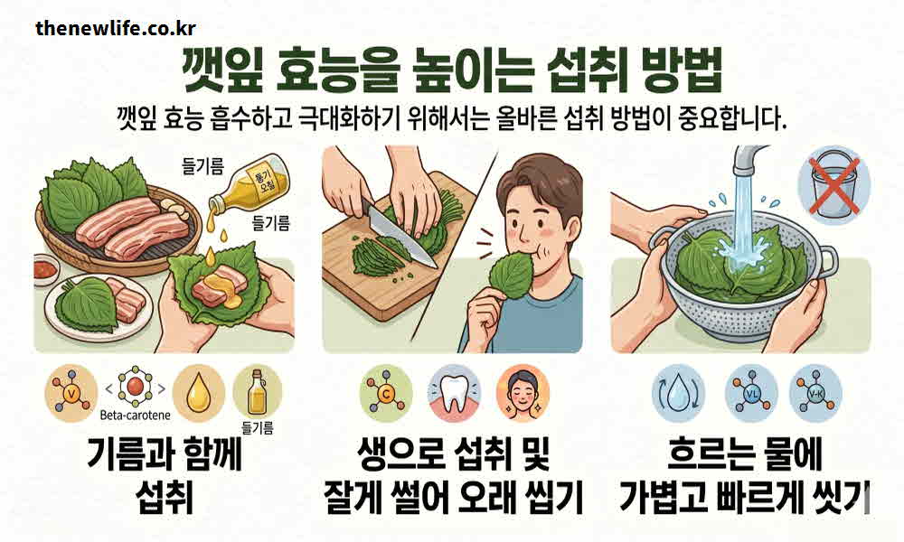 깻잎 효능 높이는 섭취 방법