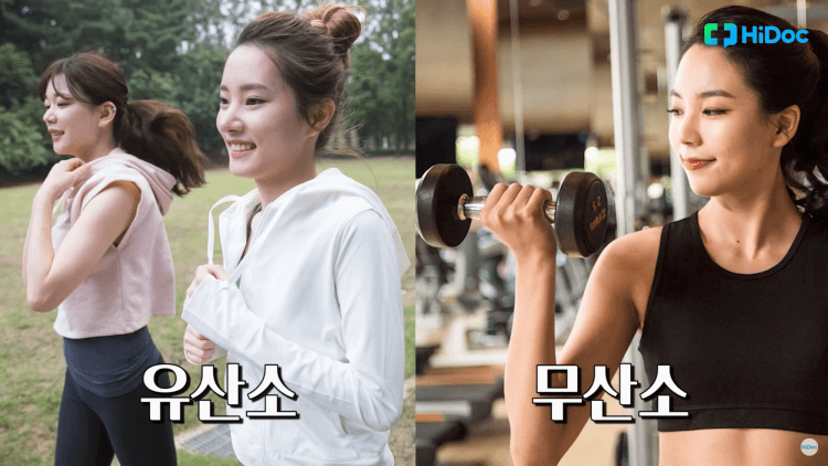 고혈압예방-위한-운동종류