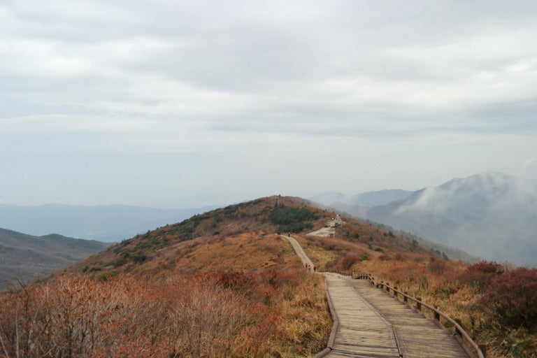 지리산 3대 등산코스
