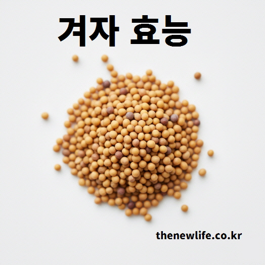 겨자씨가 하얀 배경 위에 펼쳐진 모습의 이미지