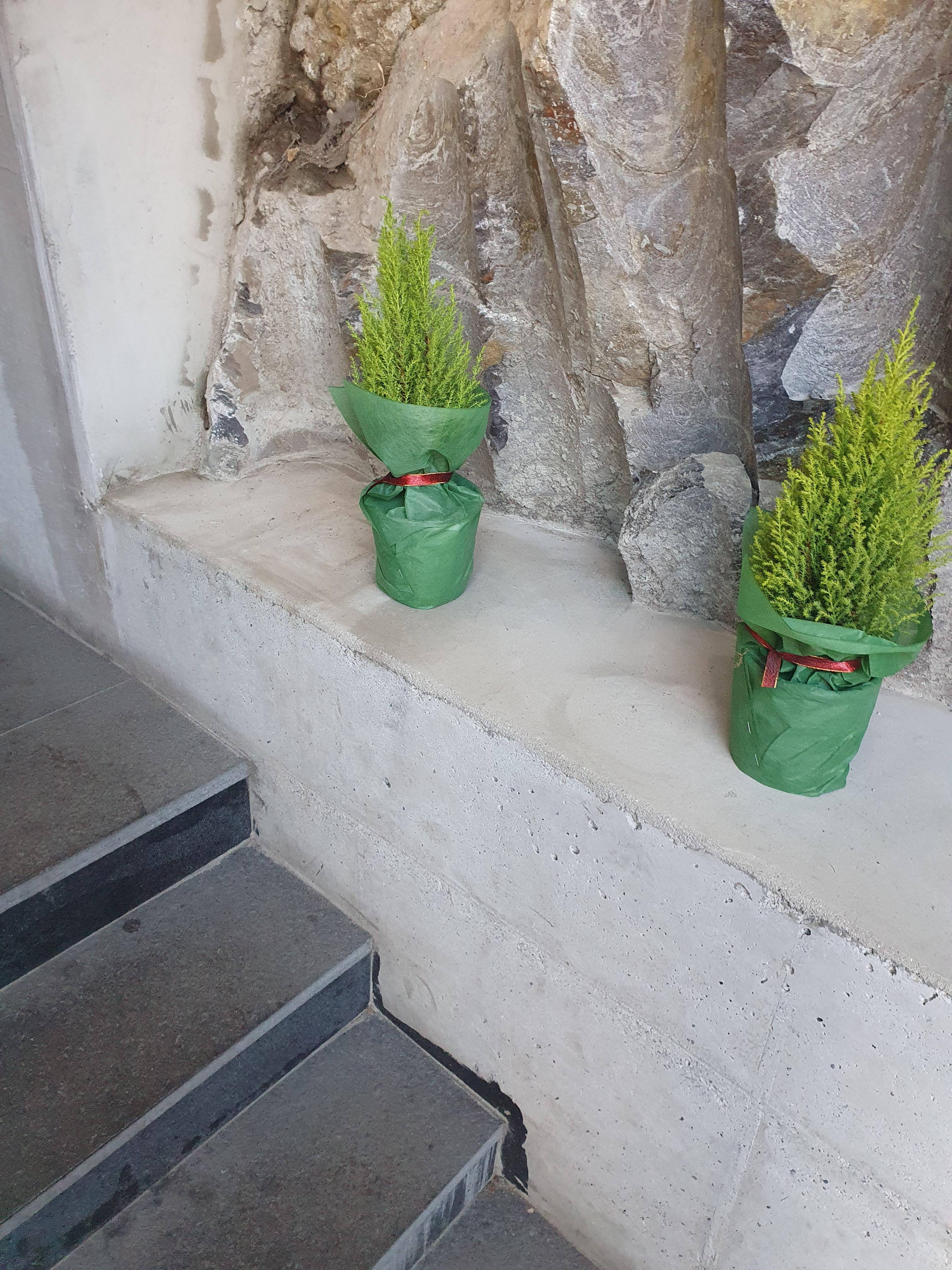 올라가는 길에 이렇게 이쁜 화분도 있습니다.