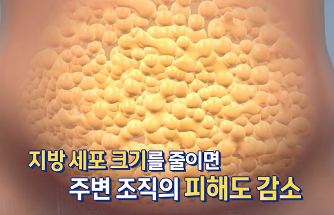 모로실 효능