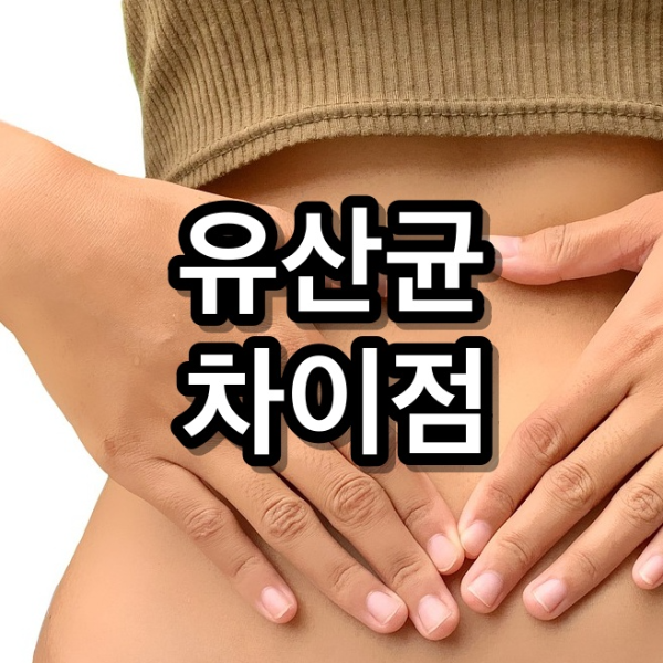 프로바이오틱스와 프리바이오틱스의 차이점 분석
