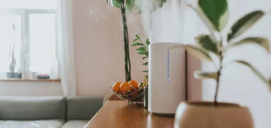 가습기 사용 패턴과 호흡기 건강